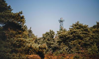 Kalmthoutse Heide